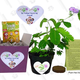 TickleMe Plant Set | $19 | Amazon